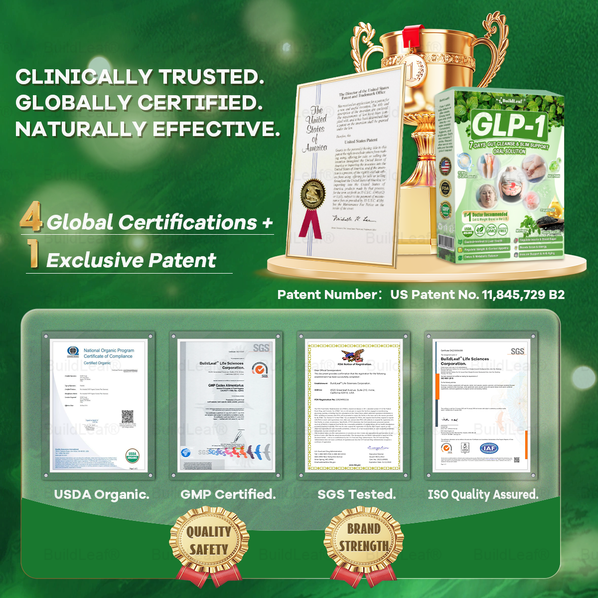Official Store | BuildLeaf® 🧑‍⚕️ GLP–1 EIGHT IN–ONE Health Solution Oral Liquid (Just one dose a day — visible results in just 7 days) ✅ For obesity, cardiovascular health, diabetes, sleep apnea, joint issues, and more